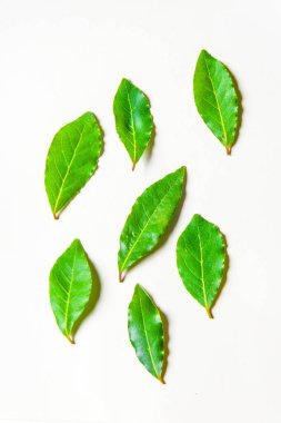 aromatik bitkiler ve baharatlar yıkandı ve tarifleriniz için hazır, aşılar ve içecekler için - defne yaprağı