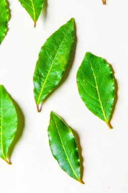 aromatik bitkiler ve baharatlar yıkandı ve tarifleriniz için hazır, aşılar ve içecekler için - defne yaprağı