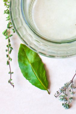 aromatik otlar ve baharatlar yıkama ve hazır yemek tarifleriniz için, aşılar ve içecekler için - adaçayı, biberiye, defne yaprağı, fesleğen, kekik, kekik, karanfil, anason