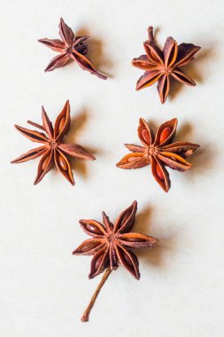 aromatik bitkiler ve baharatlar yıkandı ve tarifleriniz için hazır, aşılar ve içecekler için - yıldız anason