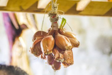 Geleneksel köy mutfağı ve ortaçağ tıbbı, malzemeleri, tarım ve avcılık ürünleri, darı, mercimek, pirinç, fındık, büyüsü, zencefil, elma, nar, fasulye, güneş, sorgum, ceviz, ardıç, nohut, buğday, hindistan cevizi, tarçın, flo