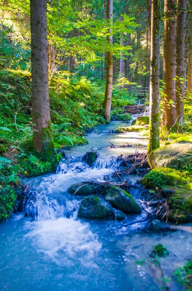 Frischwasser Aus Dem Gebirgsbach Fließt Rein Ins Grün Und Den — Stockfoto