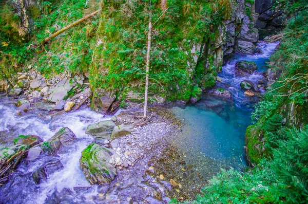 Frischwasser Aus Dem Gebirgsbach Fließt Rein Ins Grün Und Den — Stockfoto