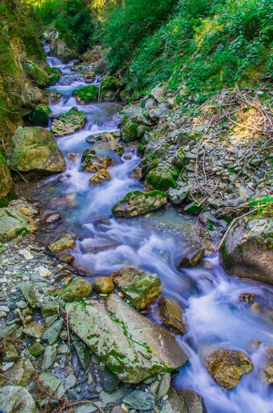 Frischwasser Aus Dem Gebirgsbach Fließt Rein Ins Grün Und Den — Stockfoto