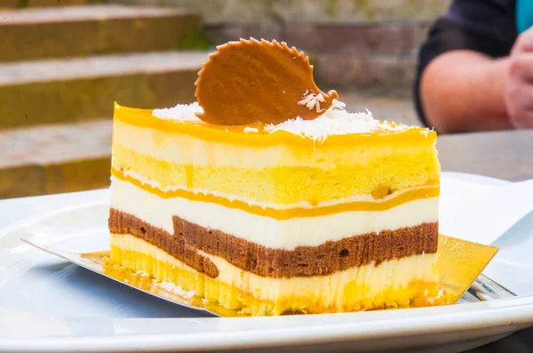 Parfait Chocolat Gâteau Éponge Crème Mangue Avec Une Décoration Hérisson — Photo