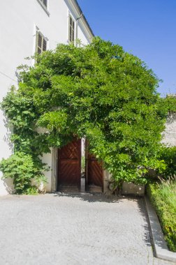 Yeşillik bitkisi olan antik beyaz şatonun kapısı