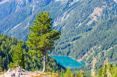 Mavi gökyüzünün altında parlak mavi dağ gölü ve etrafındaki yeşil orman ve granit taşlar ve tepesinde kar