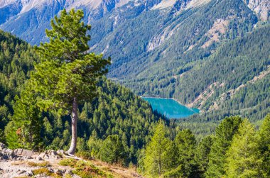 Mavi gökyüzünün altında parlak mavi dağ gölü ve etrafındaki yeşil orman ve granit taşlar ve tepesinde kar