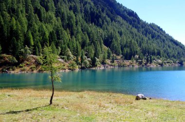 Mavi gökyüzünün altında parlak mavi dağ gölü ve etrafındaki yeşil orman ve granit taşlar ve tepesinde kar