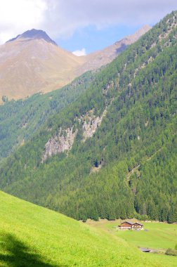 Yeşil çayırları ve lüks ormanları olan yüksek dağ ve keskin kayalar ve tipik ev, ahşap kulübe, mavi gökyüzünün altında taş ve ahşap.