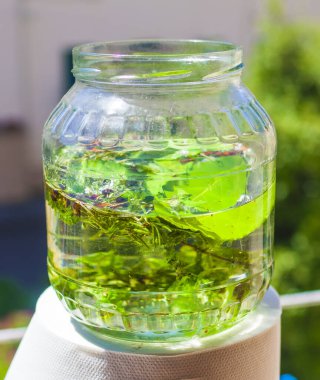 Alkole karıştırılmış otlar, zanaatkar antik bir tariften likör ve aromatik baharatlar üretir.