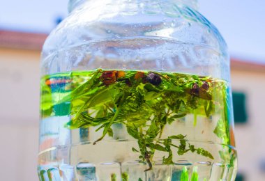 Alkolü eritmek için otlar ve baharatlar, zanaatkar antik bir geleneksel tariften likör ve aromatik baharatlar üretir.