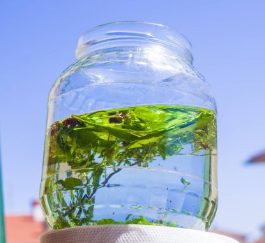 Alkole karıştırılmış otlar, zanaatkar antik bir tariften likör ve aromatik baharatlar üretir.