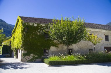 İtalya 'daki Novacella Manastırı' nın antik binasına tırmanmak. Güzel üzüm bağları, şarap üreticileri olan antik dağlık manastır.