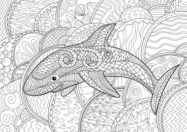 Yüksek detayları ile mutlu köpek balığı.