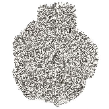 Boyama kitabı için sualtı arka plan.