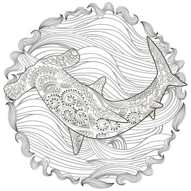 Hammerhead yüksek detayları ile.