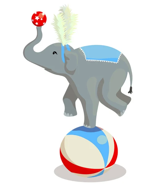 Circus elephant stands on a ball — Stock Vector