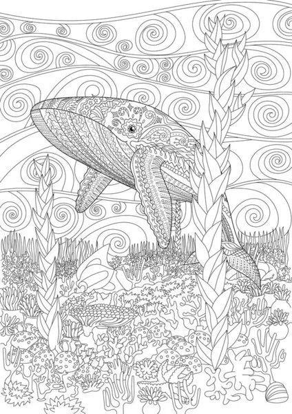 Coloring pages for adult with blue whale — Stock vektor