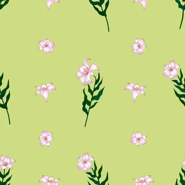 Motif Sans Couture Avec Belles Fleurs Jardin Lys Rose Clair — Image vectorielle