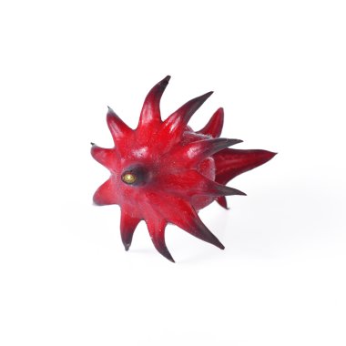 hibiscus sabdariffa veya roselle meyve üzerinde beyaz backgrou izole