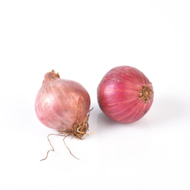 Beyaz arkaplanda taze soğan izole edildi