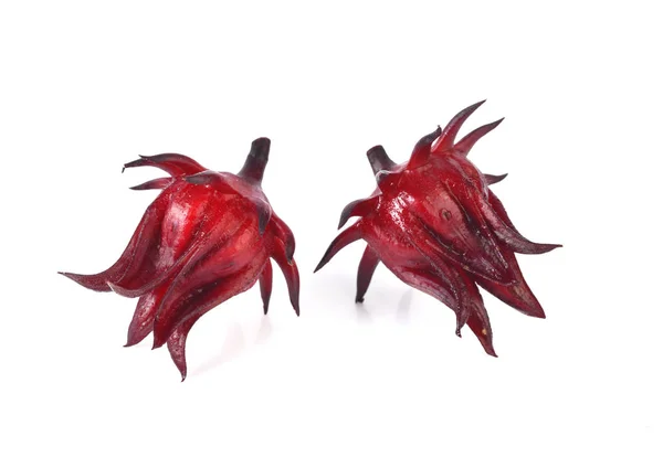 Hibiscus sabdariffa veya roselle meyve üzerinde beyaz kağıt izole