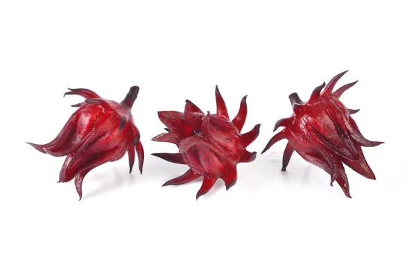 Hibiscus sabdariffa oder Roselle Früchte isoliert auf weißem Hintergrund — Stockfoto
