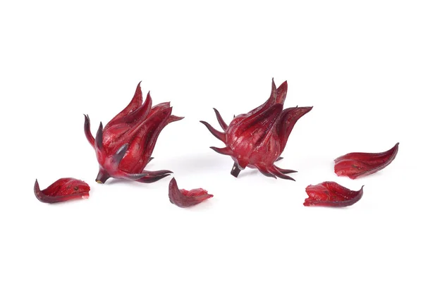 Hibiscus sabdariffa veya roselle meyve üzerinde beyaz kağıt izole