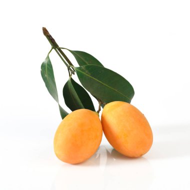 Marian plum or maprang (thai fruit) isolated on white background