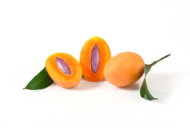 Marian plum or maprang (thai fruit) isolated on white background