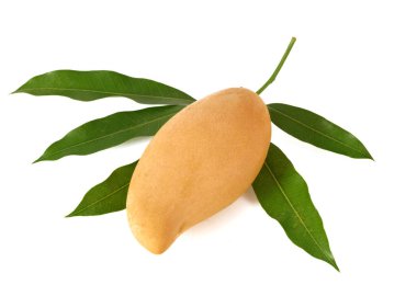 Beyaz arkaplanda yalıtılmış mango meyvesi