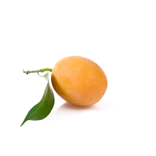 Маріанська слива або мапаран (таї фрукти) ізольовані на білому тлі — стокове фото