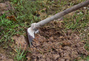 sürülmüş yere kürek