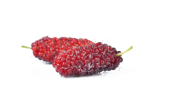 Mulberry Berry Een Witte Achtergrond — Stockfoto