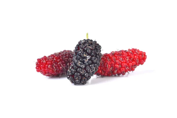 Mulberry Berry White Background — Stock Photo, Image