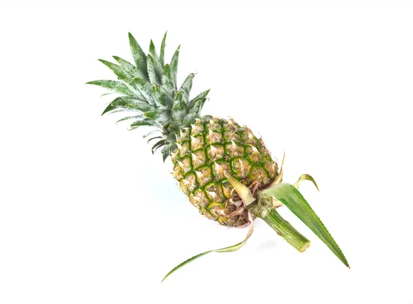 Pineapple Isolated White Pineapple Ananas Sweet — Stock Photo, Image