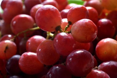 Arka planda kırmızı üzümler Tayland