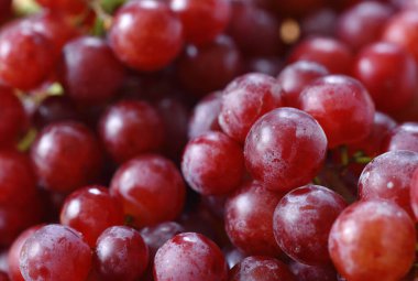 Su damlalı kırmızı üzüm, yakın plan.