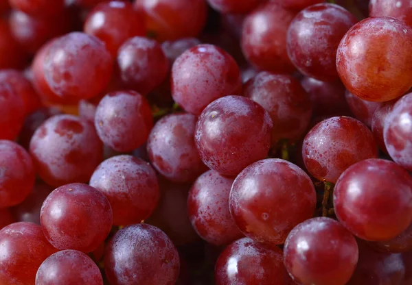 Uva Roja Con Gotas Agua Fondo Primer Plano —  Fotos de Stock