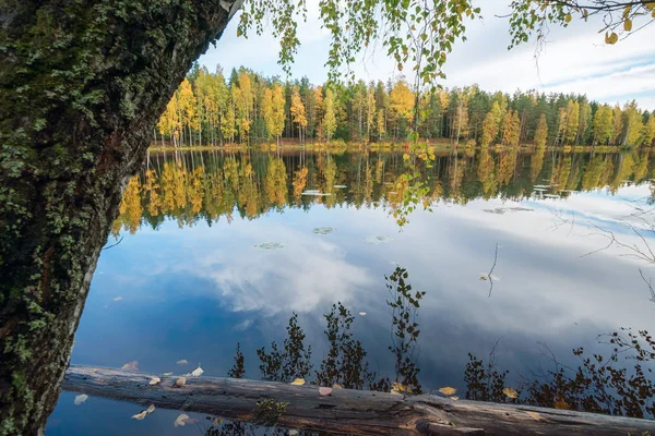 Зеркальное отражение деревьев и неба в озере. Осенний пейзаж Лицензионные Стоковые Изображения