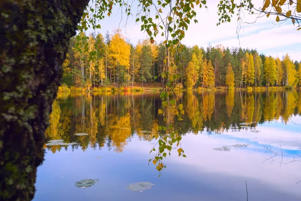 Stromy se odráží v modré jezero. Podzimní krajina — Stock fotografie