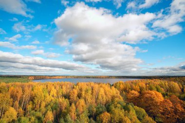 Sonbahar manzara. Sarı ağaçları ile göl üzerinde bulutlar.