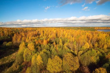 Sonbahar orman, yüksekliği görünümden. Sonbahar manzara .