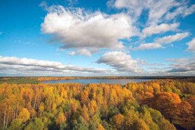 Sonbahar manzara. Sarı ağaçları ile göl üzerinde bulutlar.