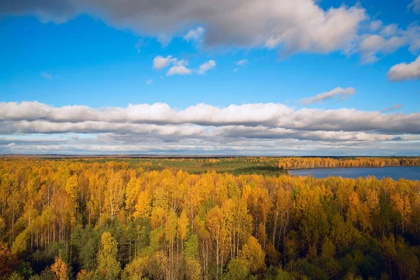 Sonbahar orman, yüksekliği görünümden. Sonbahar manzara .