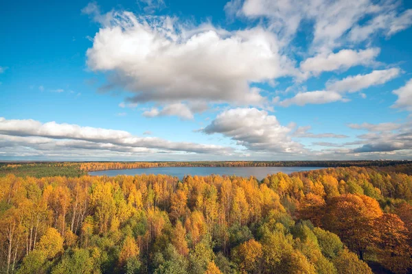 Sonbahar manzara. Sarı ağaçları ile göl üzerinde bulutlar.