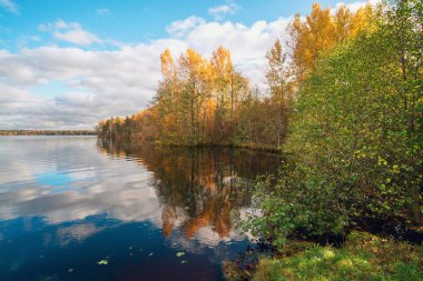 Beyaz bulutlar ve açık göl sarı ağaçları sonbaharda ayna yansıması.