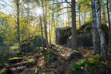 Kayalar sonbaharda ormanda.