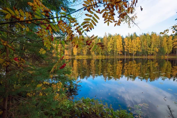 Bomen in het meer weerspiegeld. Herfst landschap . — Stockfoto
